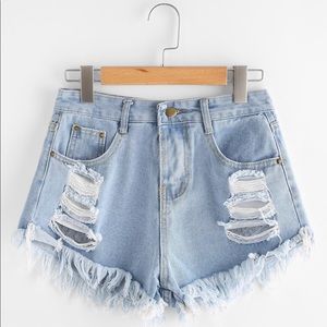 Destroyed Shorts